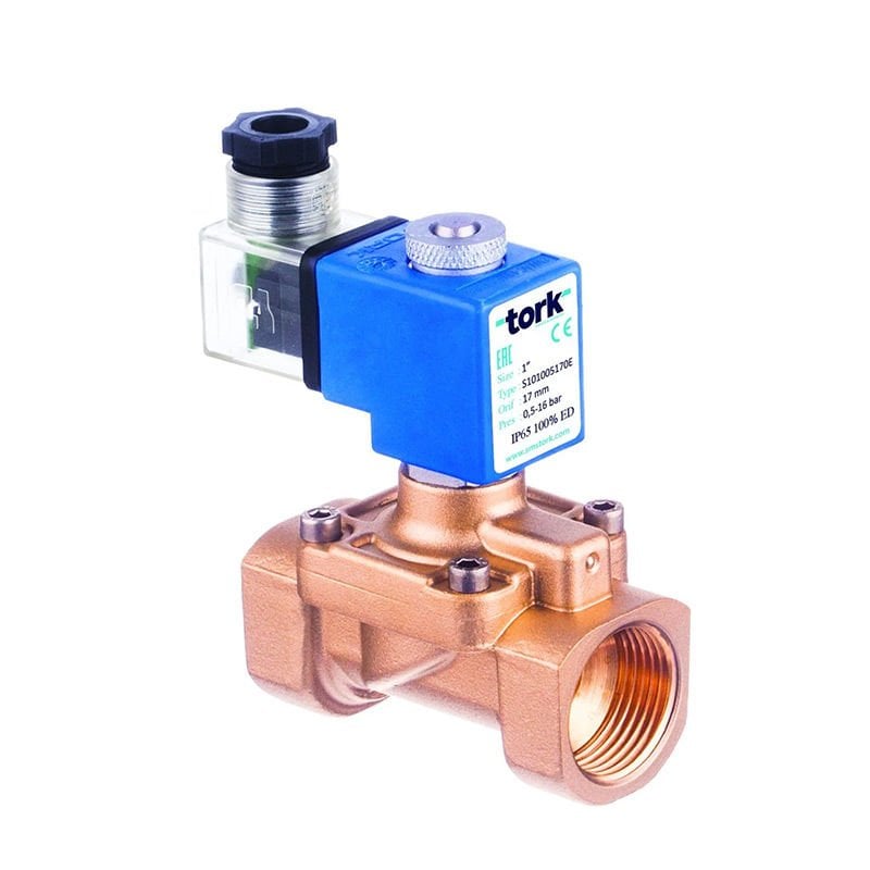 S2031 Serisi Buhar Solenoid Valfi (Geniş Orifisli)